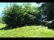 Frogman captures rubber paintballer outside
