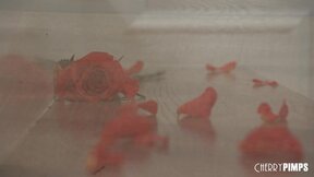 ”Spencer Bradley Masturbates in the Bathtub With Her Double Dildo”