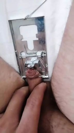 Torment micropenis mouse trap BDSM cbt sph