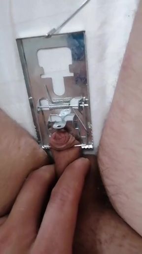 Torment micropenis mouse trap BDSM cbt sph