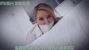 Irish Essie - Secretary Grabbed HD ( Secretary , Leather Pants , Duct Tape Wrap Gag , Microfoam Tape Gag , Tape Bondage , Hogtie , Clear Tape Gag )