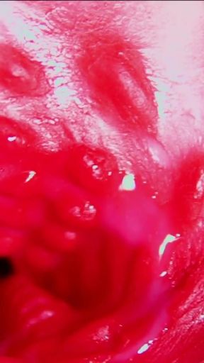 Juicy beautiful pussy squelches inside ASMR close-up inside the anus   Clip 2