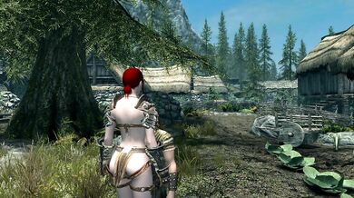 Skyrim Testing Sex Mod