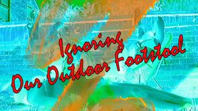 IGNORING OUR OUTDOOR FOOTSTOOL!