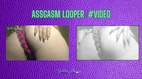 ASSGASM LOOPER #VIDEO