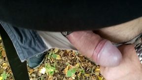 A walk in the forest