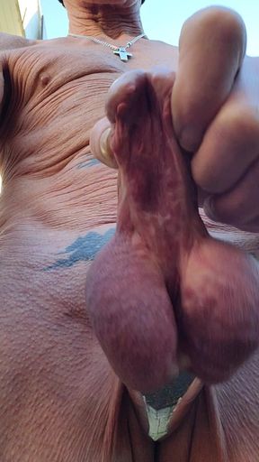 Penile Subincision in Public