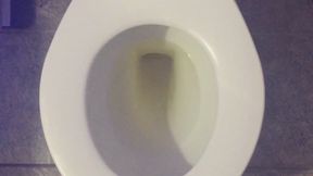 I PEE GOLD IN TOILETS
