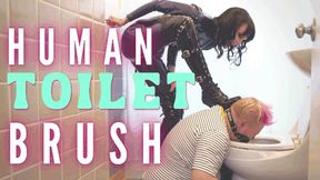 Human Toilet Brush (WMV)