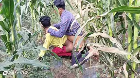 Indian Desi Movies - A Laborer Working In A Corn Field Fucked His Partners Ass - Hindi Voice