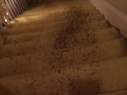 Naughty Pawg Slut Sprays a Powerful Pee Fountain down the steps with a Wet Fart