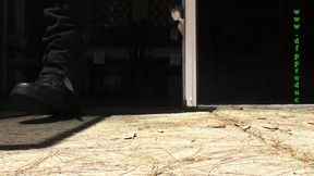 A Little Unique Addition 2 HD