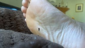 Giantess Special Effects - Playful Teenie Climbing all over Giantess MXDominions Giant Soles Giantess, Shrinking fetish, Foot Worship  4k smaller