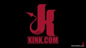 Beautiful Skin Diamond Anal Takes and Intense Electro Fucking!