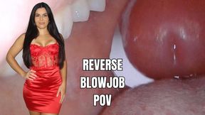 Reverse blowjob pov - OnlyVanessa