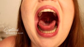 CAPTURED BY GIANTESS BLAIR TINY POV