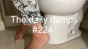 The daily dumps #224 mp4