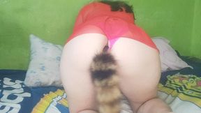 a ella le gusta ser una zorrita sexy, le gusta introducirse plug de cola de zorro en su ano / gran trasero / nicolelondrawer