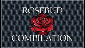 rosebub compilation