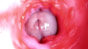 Extreme close up of a big cock in a sloppy wet sweet hole!