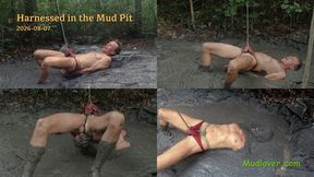 Harnessed in the Mud Pit, 2026-08-07