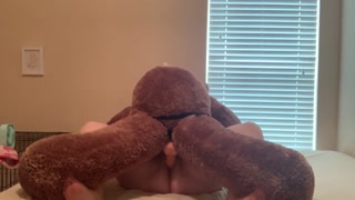 BBW getting pounded by stuffed animal