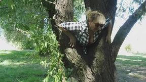 In the forest trapped AVI