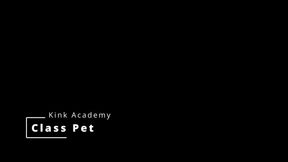 KINK ACADEMY CLASS PET