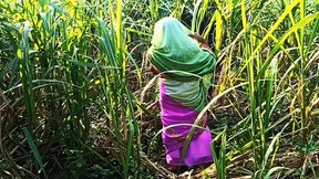 Boy's friend visits new daughter-in-law in sugarcane field &mdash;  she's ready for his touch
