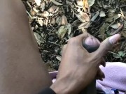 What I’ve been up to: Compilation- TS PublicPrincess