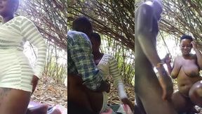 busty black ugandan girl shuga gets fucked hard outside