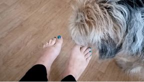 Lick my toes like a dog would do
