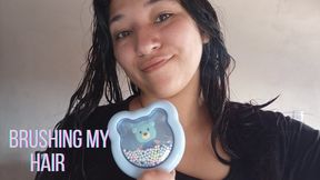 Brushing dry hair vs. brushing wet hair