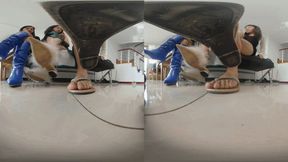 3DVR180 ERER LELE XINGGAN Queen POV Training