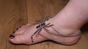 BBW feet worship #11