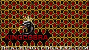 OMG I'm Running From Your Cobra: Sexy BBW Amanda Thickk Can't Handle King Cobra