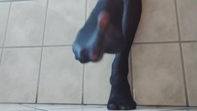 Sheer Black Pantyhose Tease by Goddess Victoria