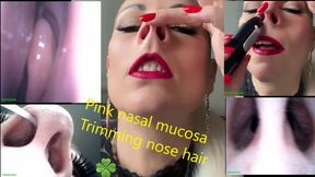 Nose hair cutting, pink nasal mucosa