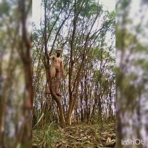 Climbing the tree naked