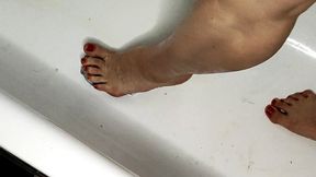 Legs 008