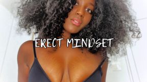 ERECT MINDSET (MESMERIZE)