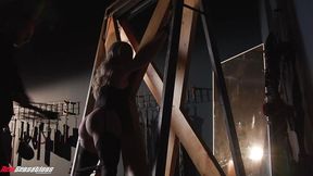 New Sensations - Juicy Big Ass Cutie Goes Hardcore BDSM (Aria Banks)