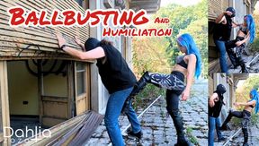 Ballbusting and humiliation