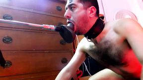 Ass to mouth: Devolution