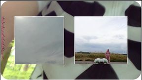 die video collage von der halbnackten fahrradtour