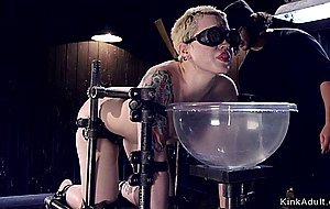 Short haired blonde in device bondage