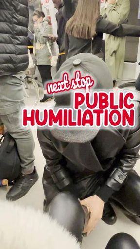 Next Stop public humiliation - Prossima fermata umiliazione pubblica - Italian language HD