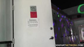 ”Skylar Madison Sucks Every Black Prick In Sight”