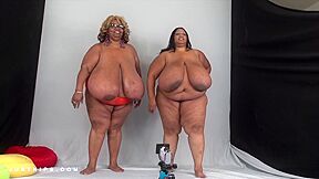 Norma N Cotton