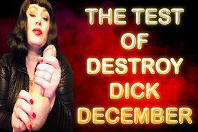 THE TEST OF DESTROY DICK DECEMBER